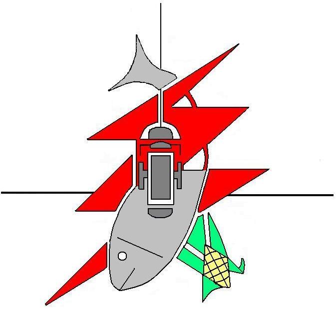 radiohn