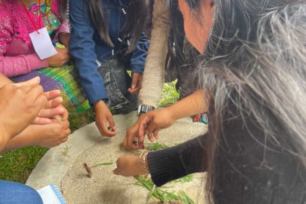 6f3df98d-eb12-4f92-924b-c9246dc3a6dd 6f3df98d-eb12-4f92-924b-c9246dc3a6dd